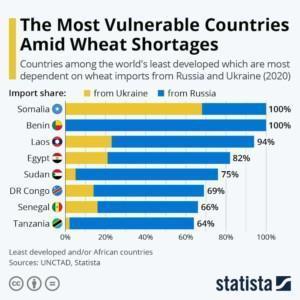 Statistan tilasto vehnäntuonnista riippuvaisista valtioista. Somalia tuo 100% viljastaan Ukrainasta ja Venäjältä.